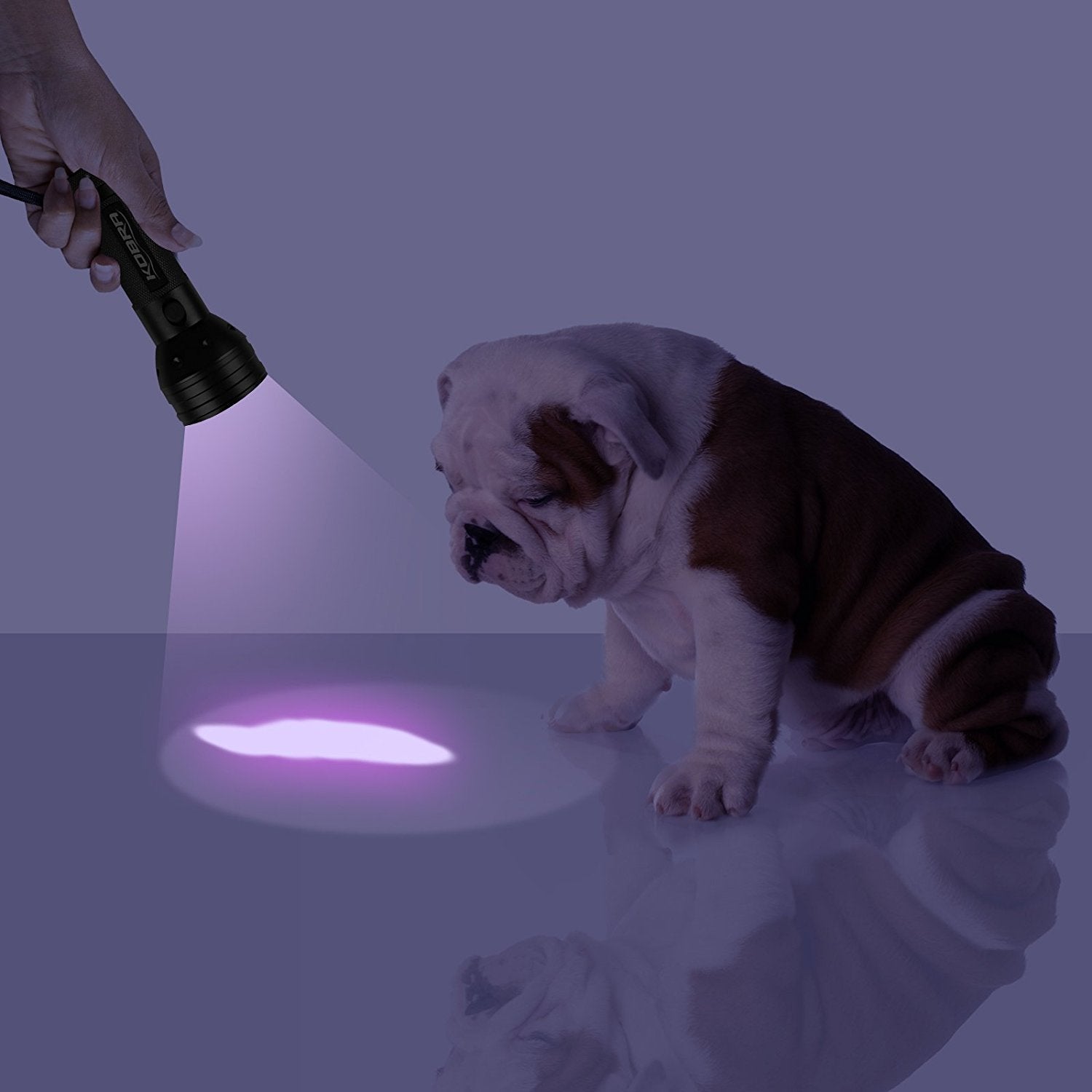 100 LED UV Ultra-Bright Blacklight Flashlight 18W 385-395nm